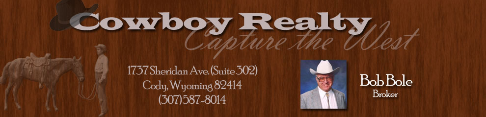 Cowboy Realty - Capture the West!