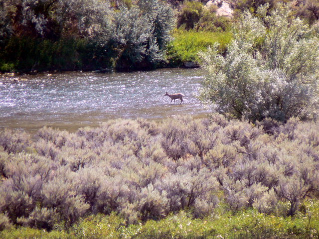 Creek