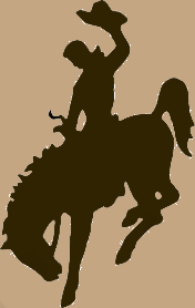 bucking horse